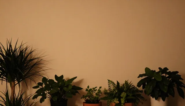 服务选择中的误区澄清：成果转化的系统集成关键